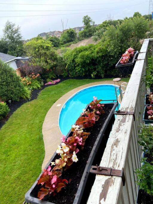 Poolside Entire Lower Level Apt Whitby Exterior foto